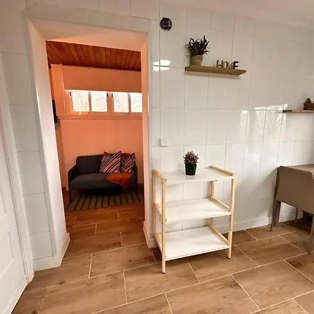 Estudio Ideal Explorar Pais Vasco