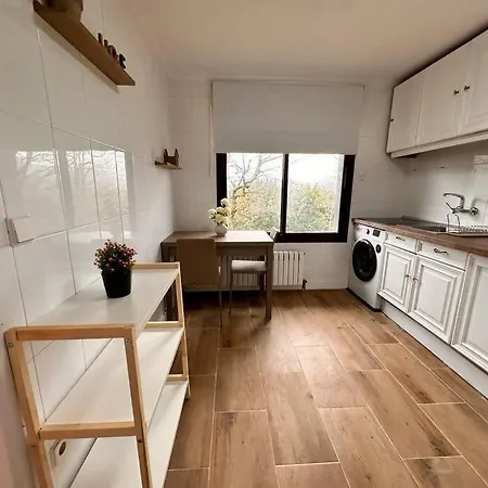 Estudio Ideal Explorar Pais Vasco Hondarribia