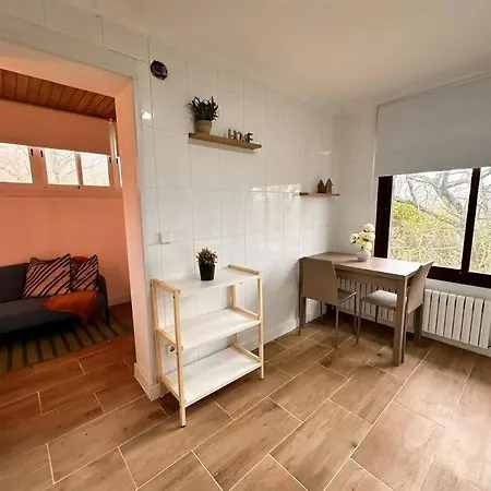 Estudio Ideal Explorar Pais Vasco Lejlighed Hondarribia